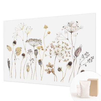 Dekoracyjna fototapeta na ścianę Polne kwiaty