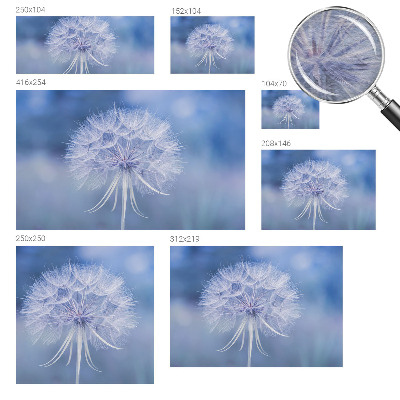 Fototapeta fizelinowa z nadrukiem Błękitna delikatność