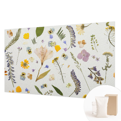 Fototapeta na ścianę Kwiaty wiosny