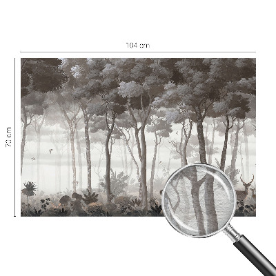 Fototapeta na ścianę Leśna magia