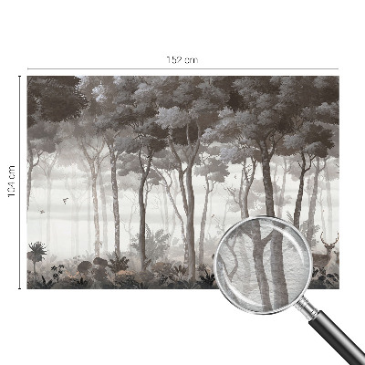 Fototapeta na ścianę Leśna magia