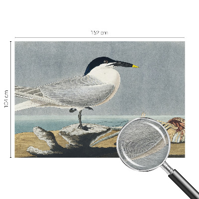 Tapeta fotograficzna Tapeta fotograficzna Ornitologiczna elegancja