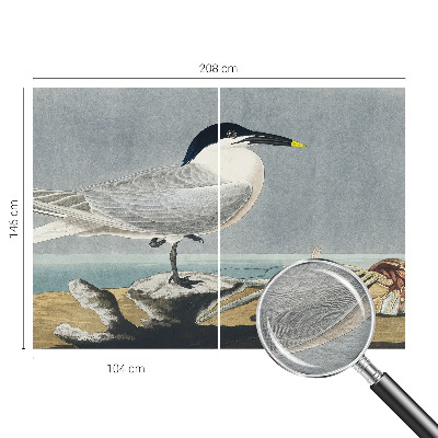 Tapeta fotograficzna Tapeta fotograficzna Ornitologiczna elegancja