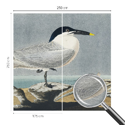 Tapeta fotograficzna Tapeta fotograficzna Ornitologiczna elegancja