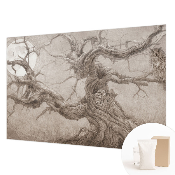 Tapeta fotograficzna Nocne ptaki