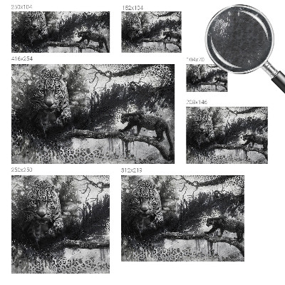 Fototapeta fizelinowa z nadrukiem z motywem lampartów w abstrakcyjnym stylu