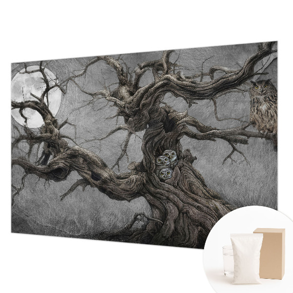 Tapeta fotograficzna Tajemnicza sowa