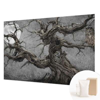 Tapeta fotograficzna Tapeta fotograficzna Tajemnicza sowa