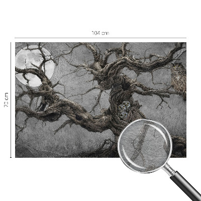 Tapeta fotograficzna Tajemnicza sowa