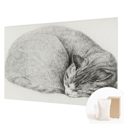 Dekoracyjna fototapeta na ścianę Dekoracyjna fototapeta na ścianę Zwinięty kot