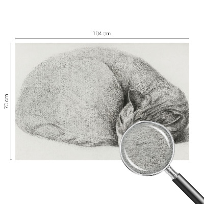 Dekoracyjna fototapeta na ścianę Dekoracyjna fototapeta na ścianę Zwinięty kot