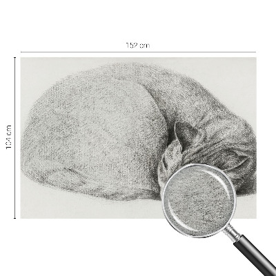 Dekoracyjna fototapeta na ścianę Dekoracyjna fototapeta na ścianę Zwinięty kot