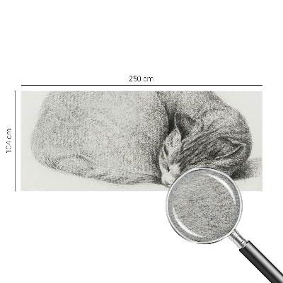 Dekoracyjna fototapeta na ścianę z motywem zwiniętego kota