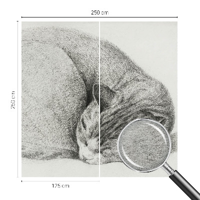 Dekoracyjna fototapeta na ścianę Dekoracyjna fototapeta na ścianę Zwinięty kot