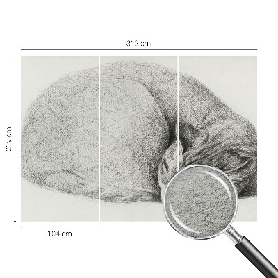 Dekoracyjna fototapeta na ścianę Dekoracyjna fototapeta na ścianę Zwinięty kot