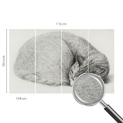 Dekoracyjna fototapeta na ścianę Dekoracyjna fototapeta na ścianę Zwinięty kot