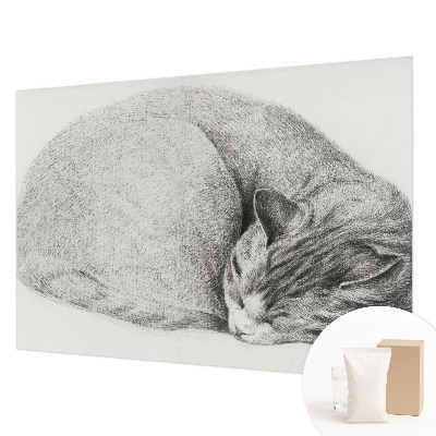 Dekoracyjna fototapeta na ścianę Dekoracyjna fototapeta na ścianę Zwinięty kot