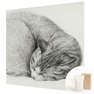 Dekoracyjna fototapeta na ścianę Dekoracyjna fototapeta na ścianę Zwinięty kot
