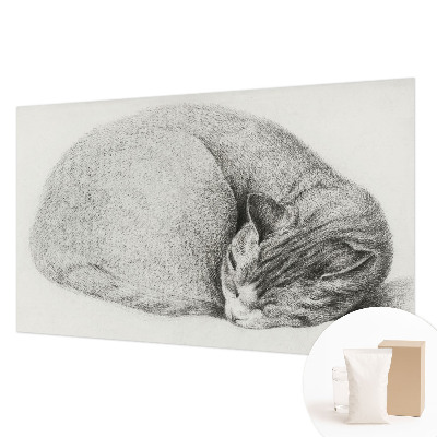 Dekoracyjna fototapeta na ścianę Dekoracyjna fototapeta na ścianę Zwinięty kot