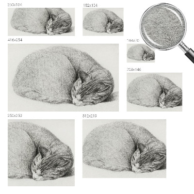 Dekoracyjna fototapeta na ścianę Dekoracyjna fototapeta na ścianę Zwinięty kot