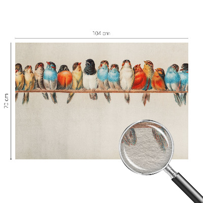 Fototapeta fizelinowa z nadrukiem Fototapeta fizelinowa z nadrukiem Ptaki na gałęzi