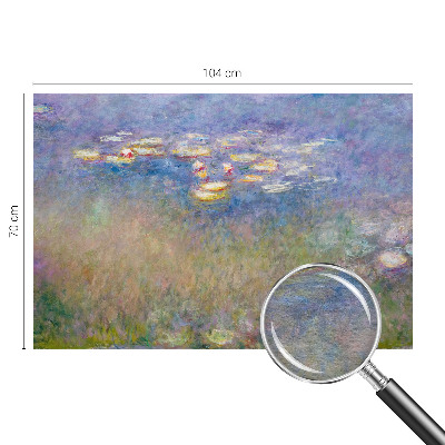 Fototapeta na ścianę z motywem wodnych lilii