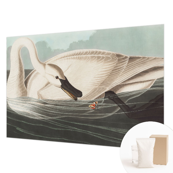 Fototapeta na ścianę Fototapeta na ścianę Harmonia natury