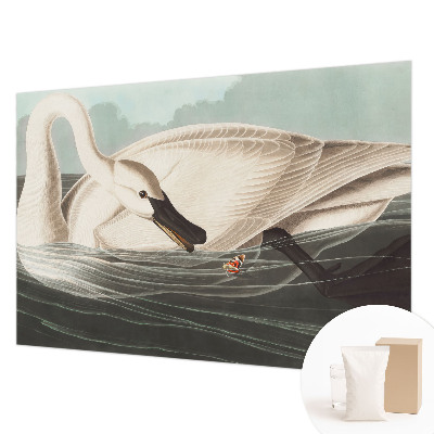 Fototapeta na ścianę Harmonia natury