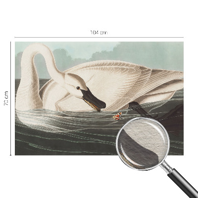 Fototapeta na ścianę Fototapeta na ścianę Harmonia natury