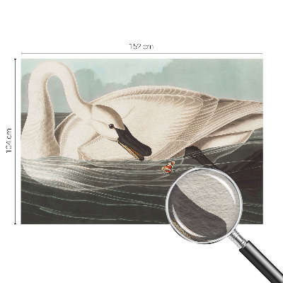 Fototapeta na ścianę Fototapeta na ścianę Harmonia natury