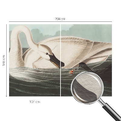 Fototapeta na ścianę Fototapeta na ścianę Harmonia natury