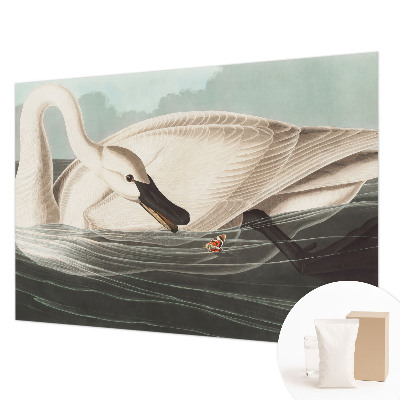 Fototapeta na ścianę Fototapeta na ścianę Harmonia natury