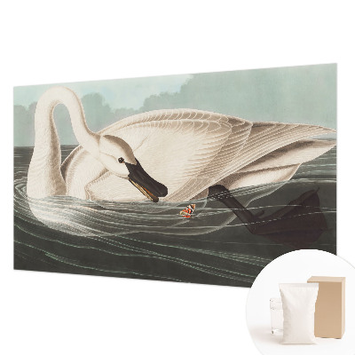 Fototapeta na ścianę Fototapeta na ścianę Harmonia natury