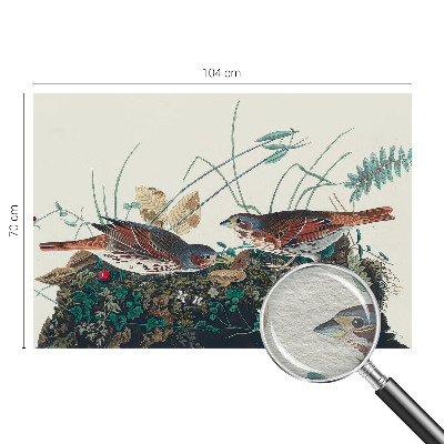 Tapeta fotograficzna Urok natury