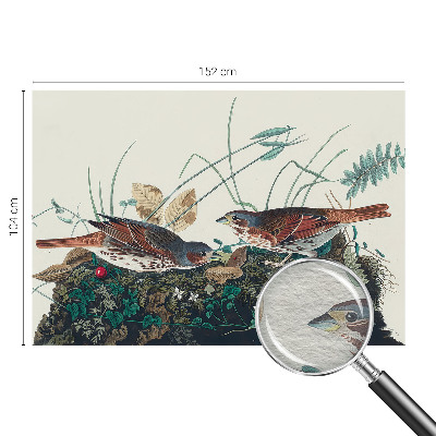 Tapeta fotograficzna Urok natury