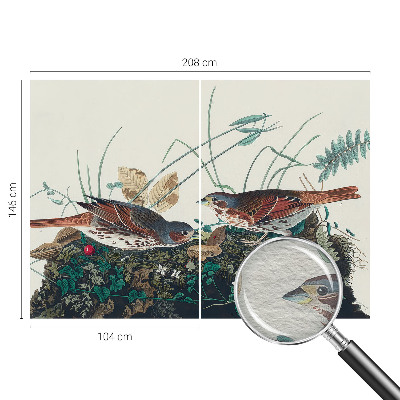 Tapeta fotograficzna Urok natury