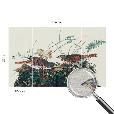 Tapeta fotograficzna Urok natury