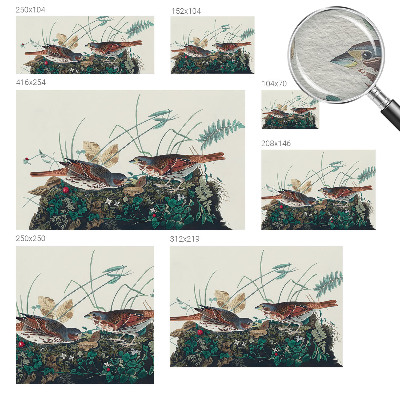 Tapeta fotograficzna Urok natury