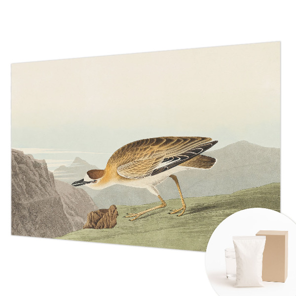 Tapeta fotograficzna fizelinowa Górski ptak