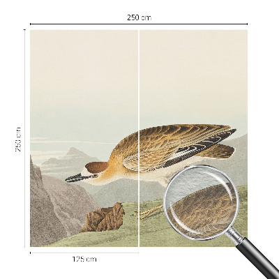 Tapeta fotograficzna fizelinowa z motywem górskiego ptaka