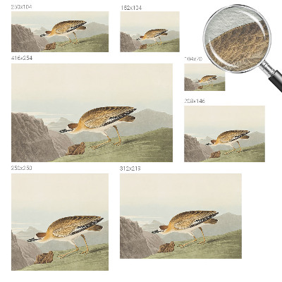 Tapeta fotograficzna fizelinowa Górski ptak