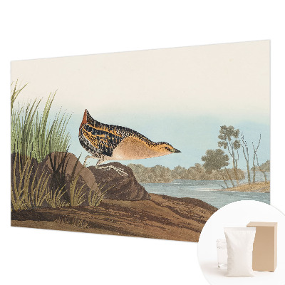 Nowoczesna fototapeta do salonu Naturalna scena