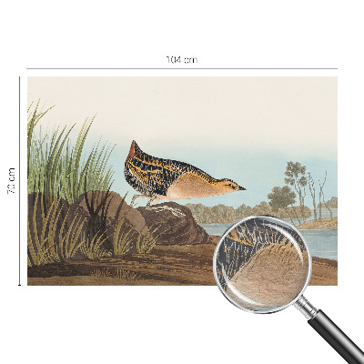 Nowoczesna fototapeta do salonu Naturalna scena