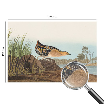 Nowoczesna fototapeta do salonu Naturalna scena