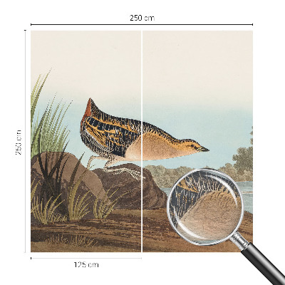 Nowoczesna fototapeta do salonu Naturalna scena