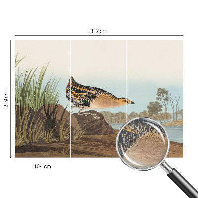 Nowoczesna fototapeta do salonu Naturalna scena