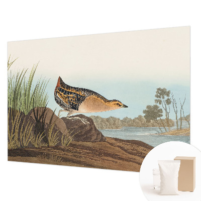 Nowoczesna fototapeta do salonu Naturalna scena