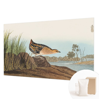 Nowoczesna fototapeta do salonu Naturalna scena