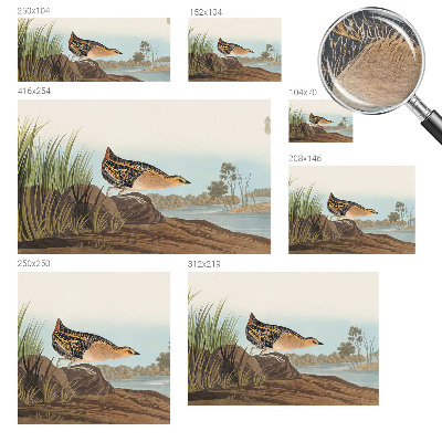 Nowoczesna fototapeta do salonu Naturalna scena