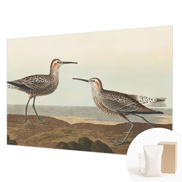 Tapeta fotograficzna fizelinowa Tapeta fotograficzna fizelinowa Ptasie sylwetki